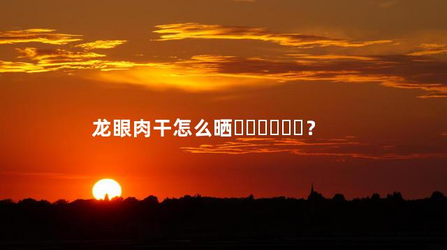 龙眼肉干怎么晒？
